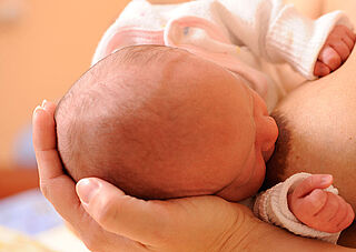 Stillberatung EvKB. Ein Baby mit der Kopf in der Hand der Mutter trinkt Milch aus der Brust der Mutter.