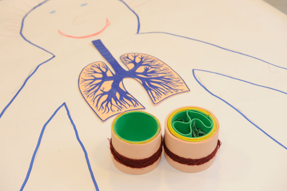 Projekt Allergie und Schule - Was juckt mich das?